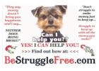A $10 Membership That Saves You Money!