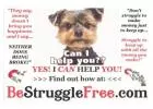 A $10 Membership That Saves You Money!