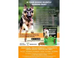 GAME CHANGER-HUMAN GRADE-PATENT PENDING -SOFT CHEW FOR DOGS