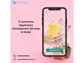 E-commerce Application Development Services in Dubai | EmizenTech