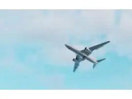 weevcv