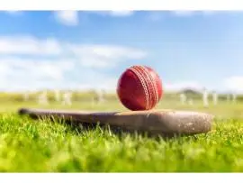 Tiger Exchange247 ID via Amiribook – Instant Activation, 24/7 Support!