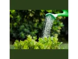 Expert Irrigation Design and Consulting | Irri Design Studio