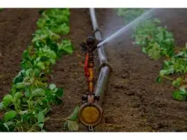 Smart Irrigation Installation for Sustainable Landscapes | Irri Design Studio