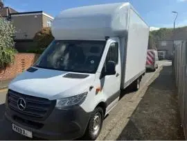 Professional Removals in Hastings — Lions Moves Van