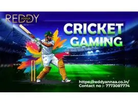Reddy Anna Exchange: Your Trusted Sports Hub With Continuous Availability and Customer Support