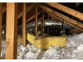 Quick Attic Cleanup & Old Insulation Removal