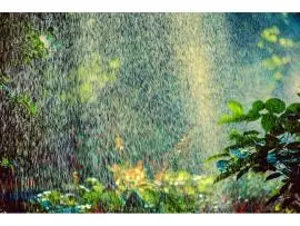 Quick & Affordable Irrigation Repair in Kissimmee – Fix Leaks, Pipes & Sprinklers