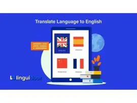 Linguidoor provides comprehensive translation services