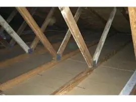 Clean Attics, Healthier Homes: Oakland Attic Cleanup Experts