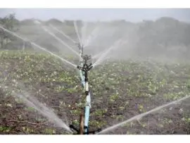 Efficient & Sustainable Irrigation Solutions in Texas